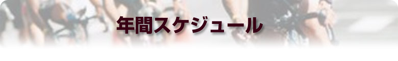 年間スケジュール