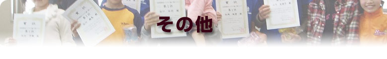 その他